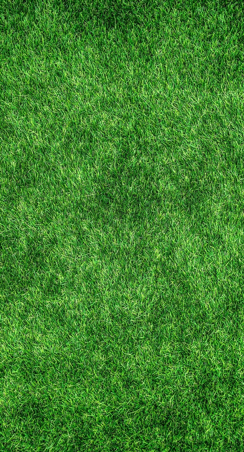 Eco-friendly Tokens
